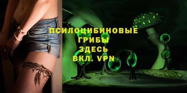 apvp Козловка