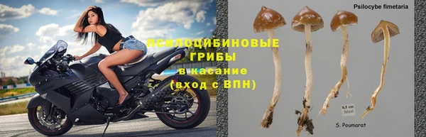 герыч Козельск