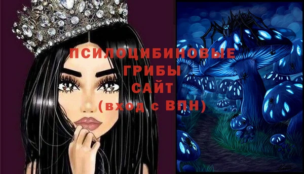 ECSTASY Апатиты