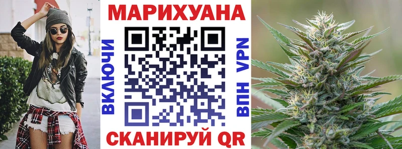 купить закладку  Якутск  Конопля сатива 